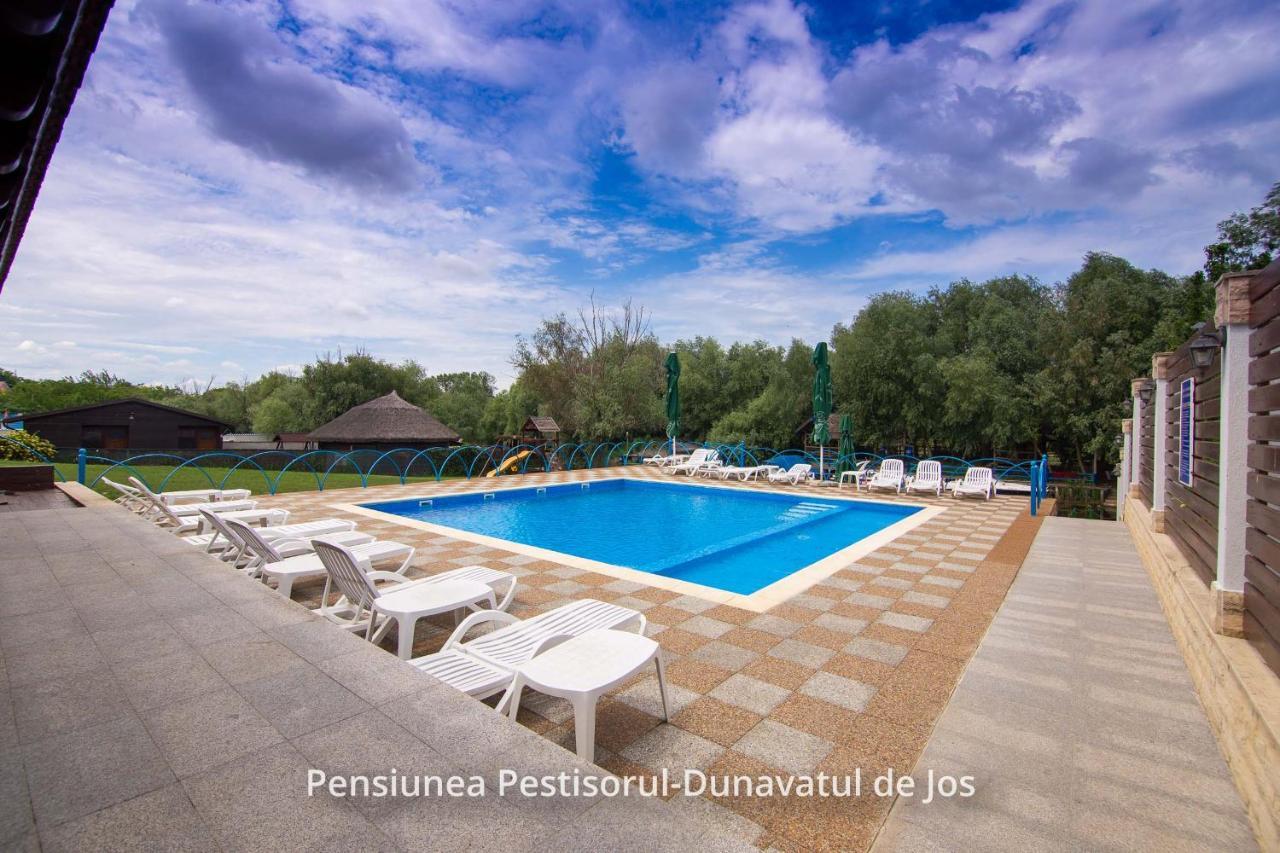Pensiunea Pestisorul Dunavăţu de Jos エクステリア 写真