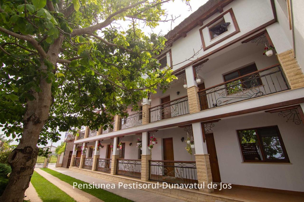 Pensiunea Pestisorul Dunavăţu de Jos エクステリア 写真