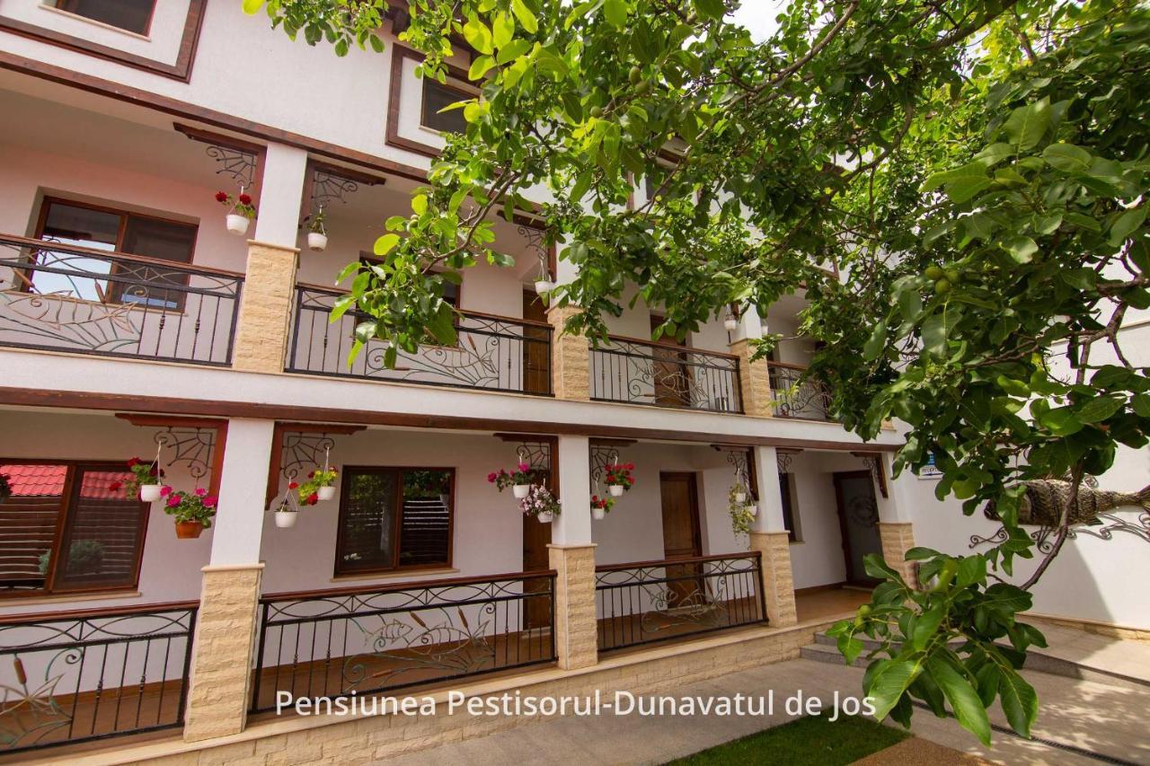 Pensiunea Pestisorul Dunavăţu de Jos エクステリア 写真