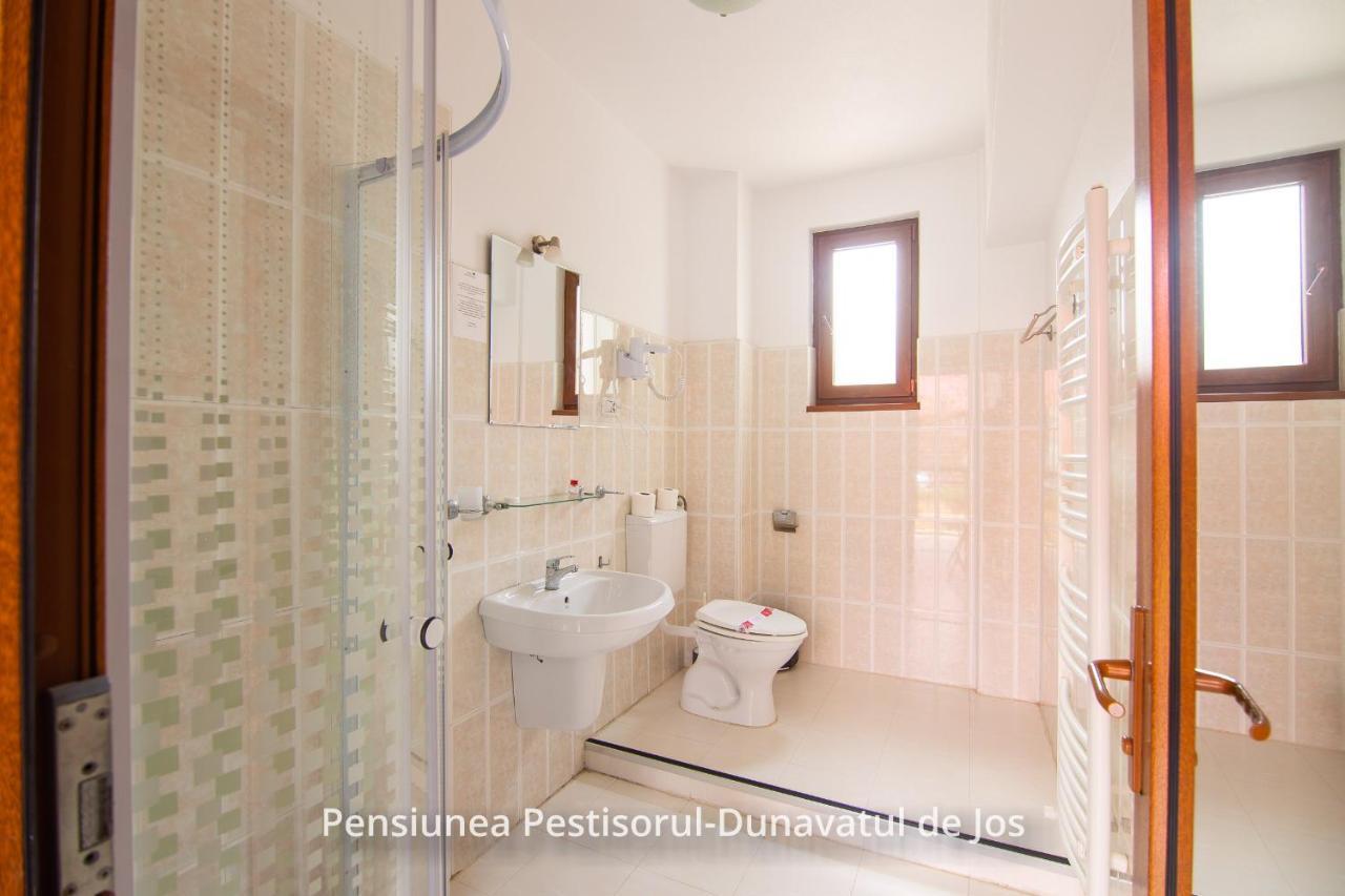 Pensiunea Pestisorul Dunavăţu de Jos エクステリア 写真