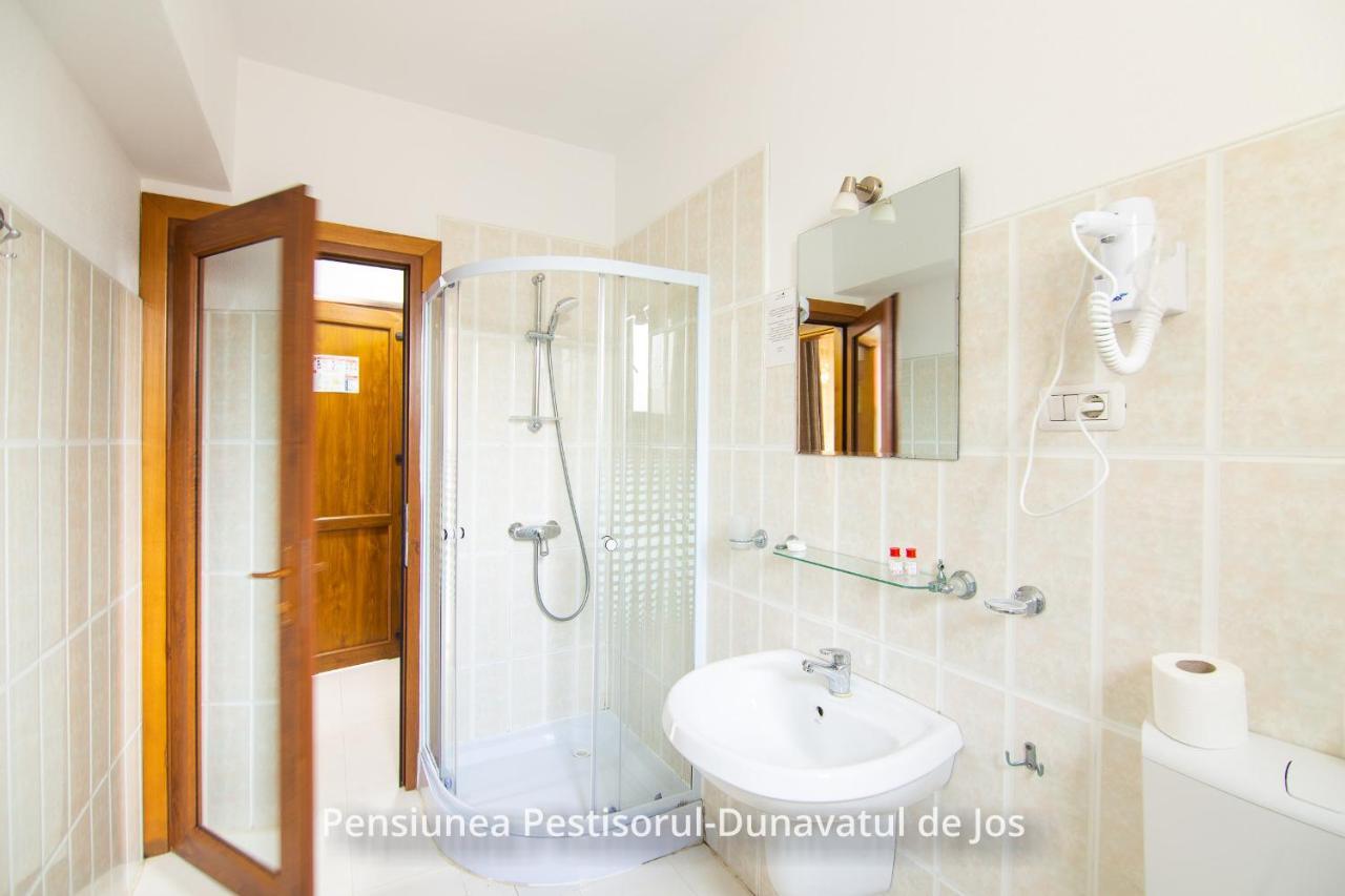 Pensiunea Pestisorul Dunavăţu de Jos エクステリア 写真