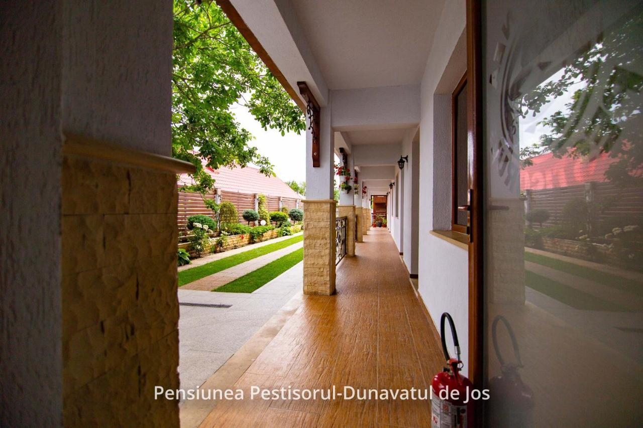 Pensiunea Pestisorul Dunavăţu de Jos エクステリア 写真