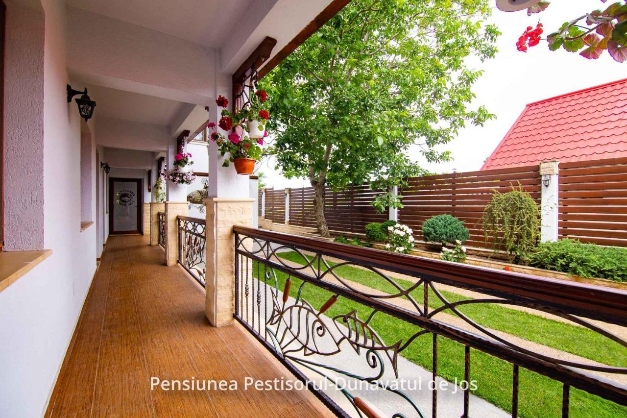 Pensiunea Pestisorul Dunavăţu de Jos エクステリア 写真