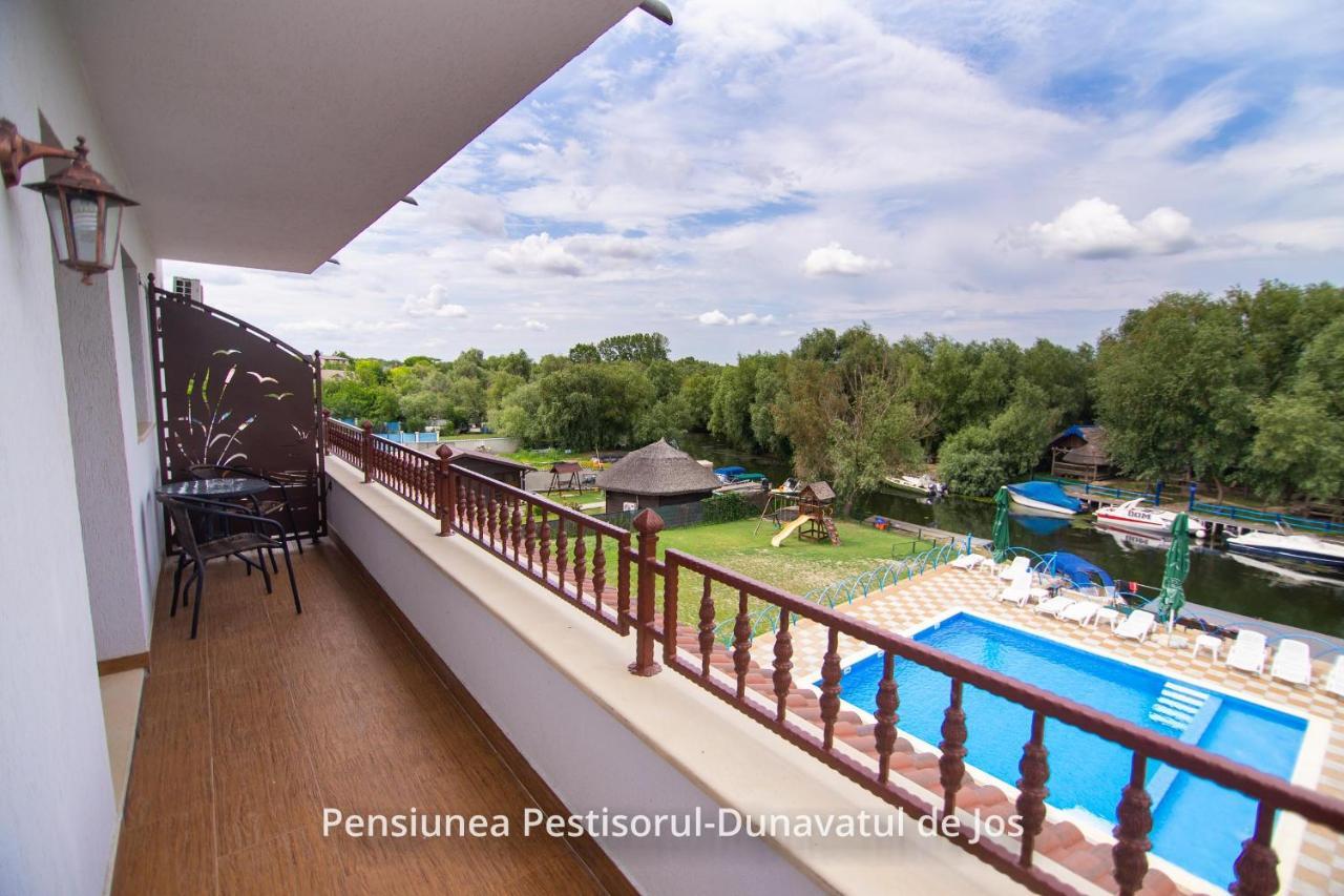 Pensiunea Pestisorul Dunavăţu de Jos エクステリア 写真