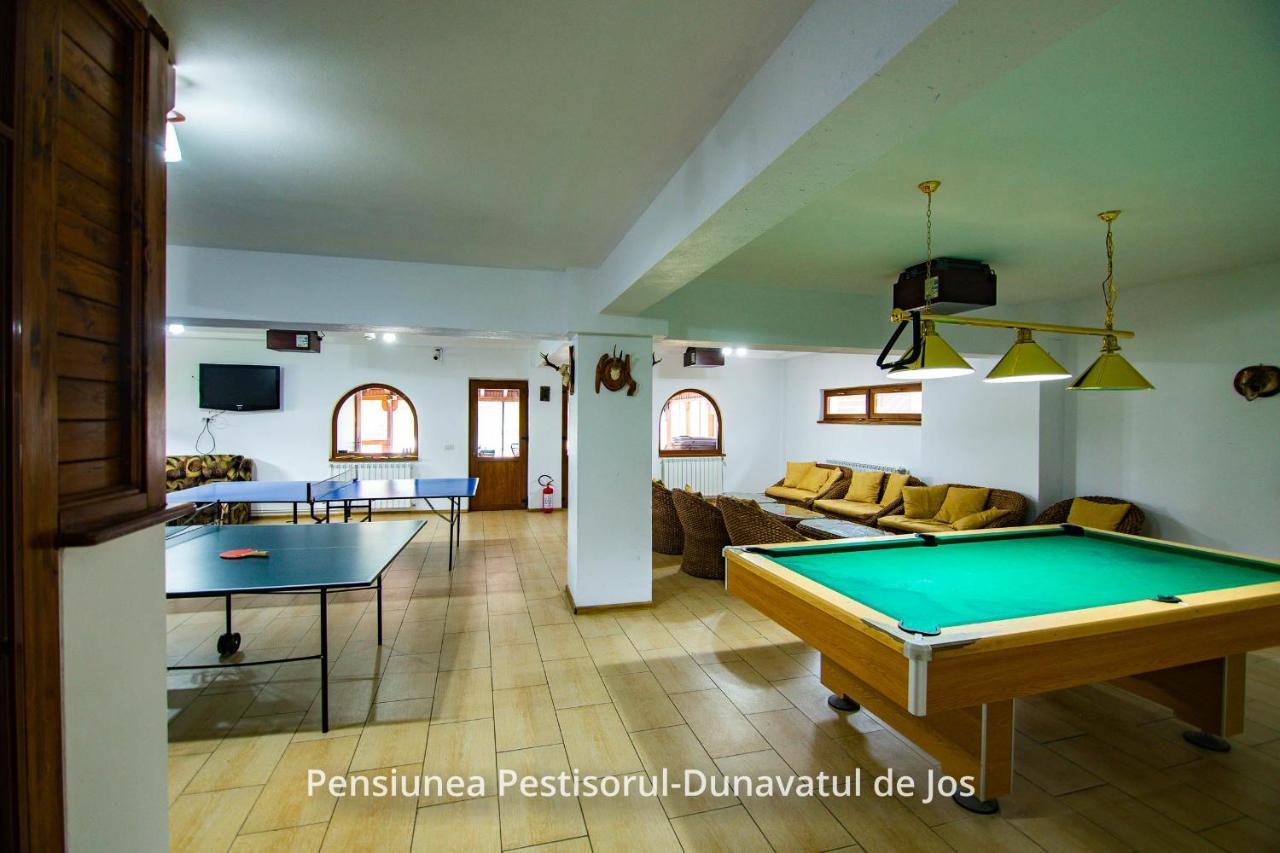 Pensiunea Pestisorul Dunavăţu de Jos エクステリア 写真