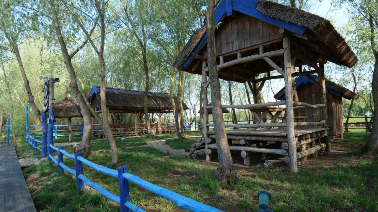 Pensiunea Pestisorul Dunavăţu de Jos エクステリア 写真