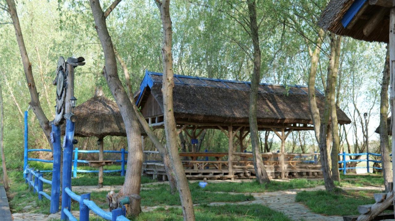 Pensiunea Pestisorul Dunavăţu de Jos エクステリア 写真